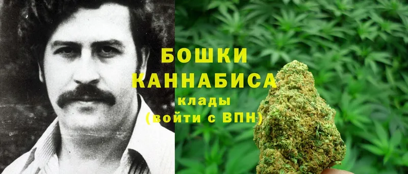 Канабис OG Kush  как найти   Братск 